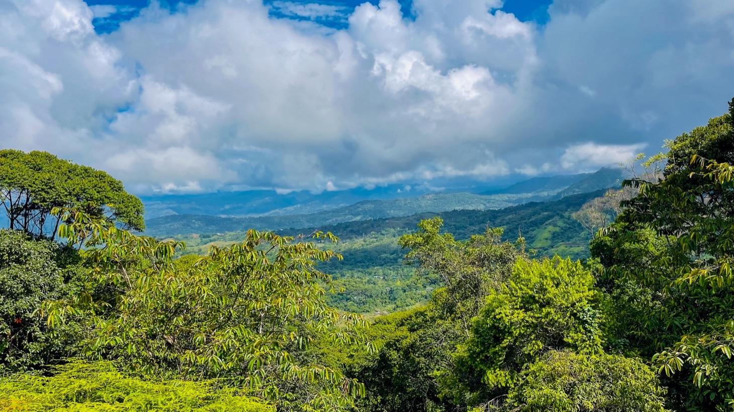 5516 – Costa Verde Lot #43_02