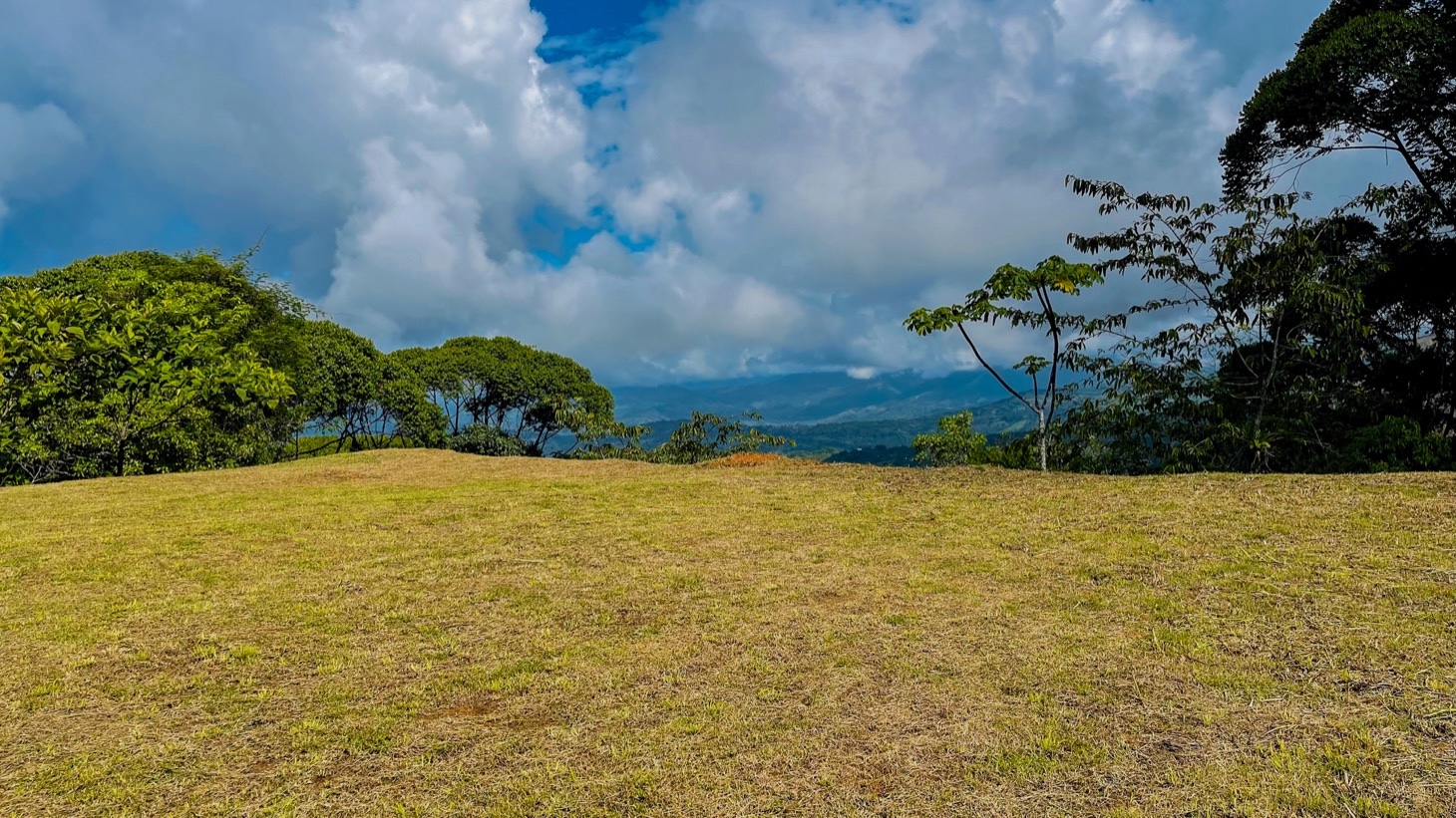 5516 – Costa Verde Lot #43_04