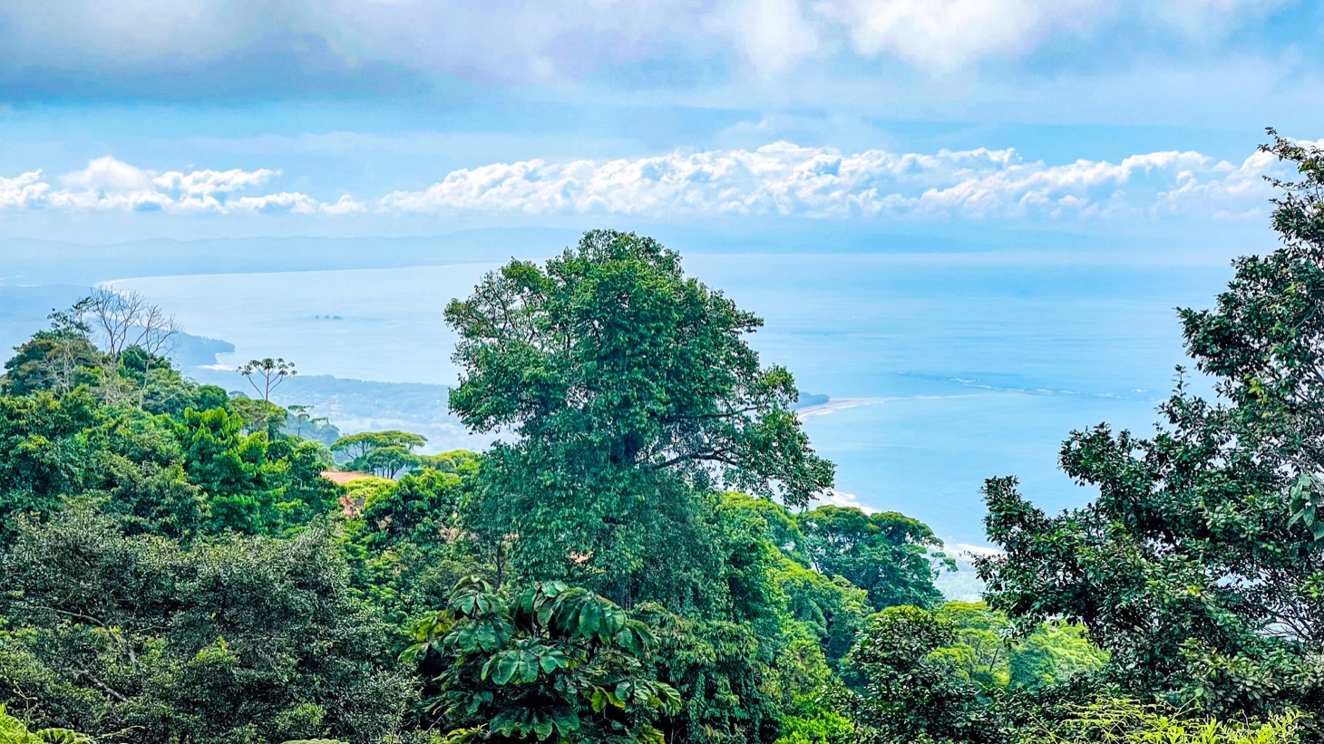 5516 – Costa Verde Lot #43_14