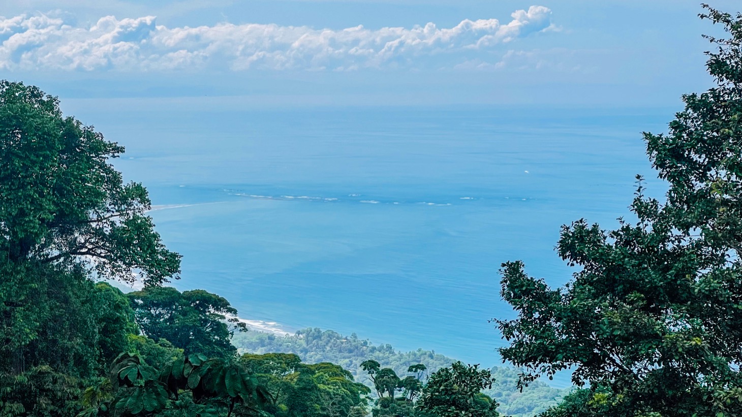 5516 – Costa Verde Lot #43_15