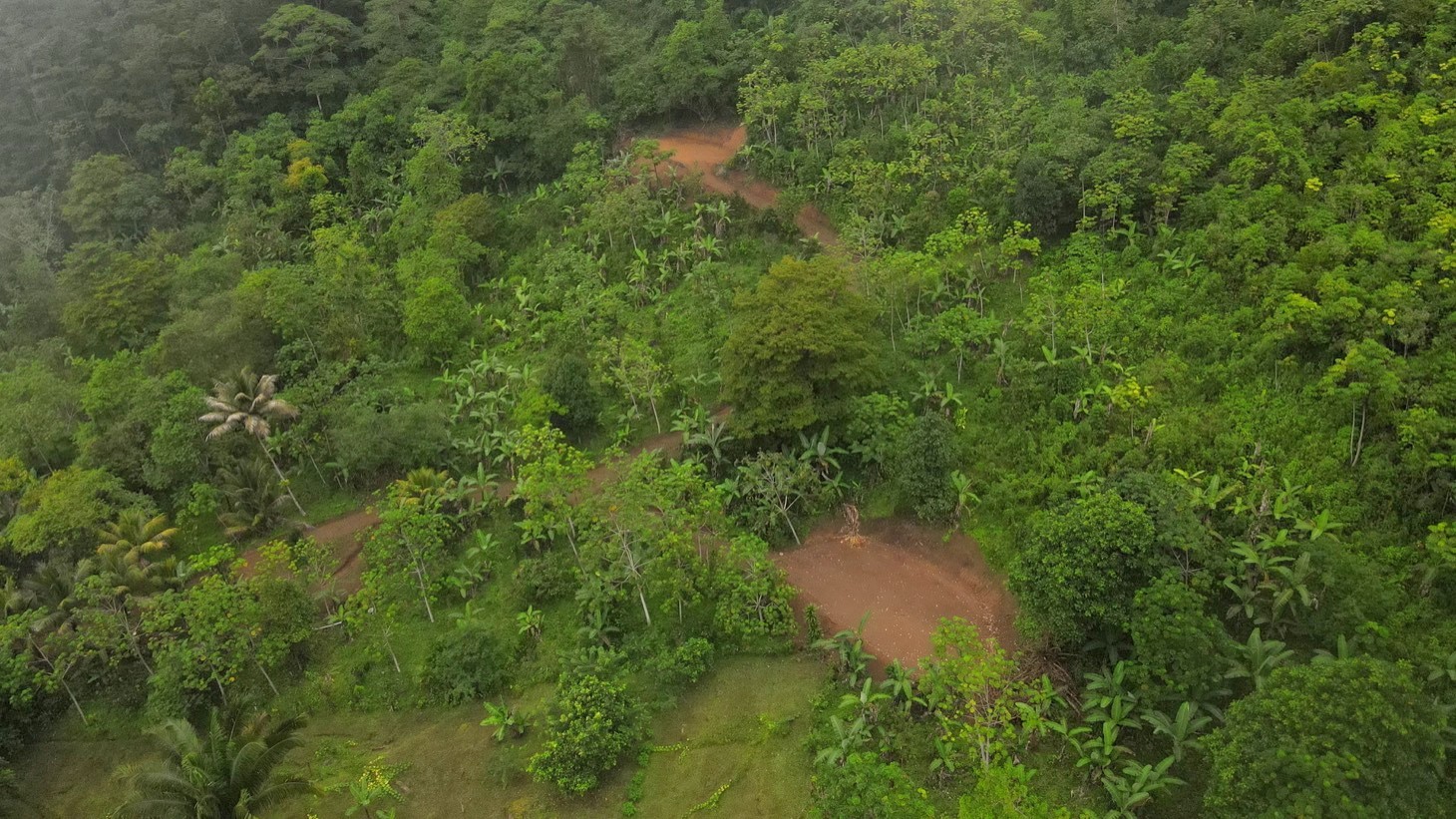 5522 – Mountain View Land with Several Building Sites and Mature Fruit Trees_03