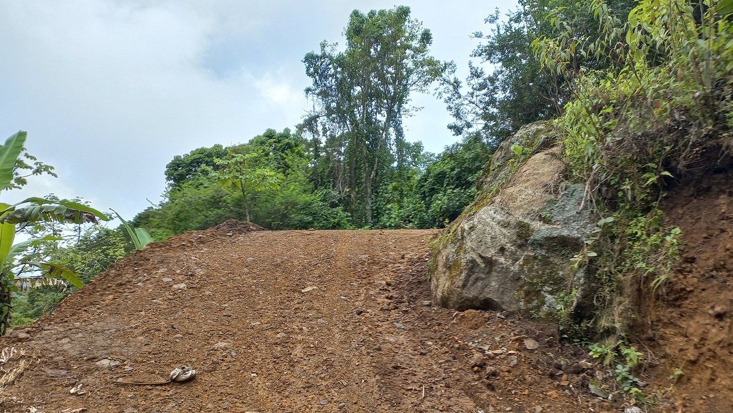 5522 – Mountain View Land with Several Building Sites and Mature Fruit Trees_12