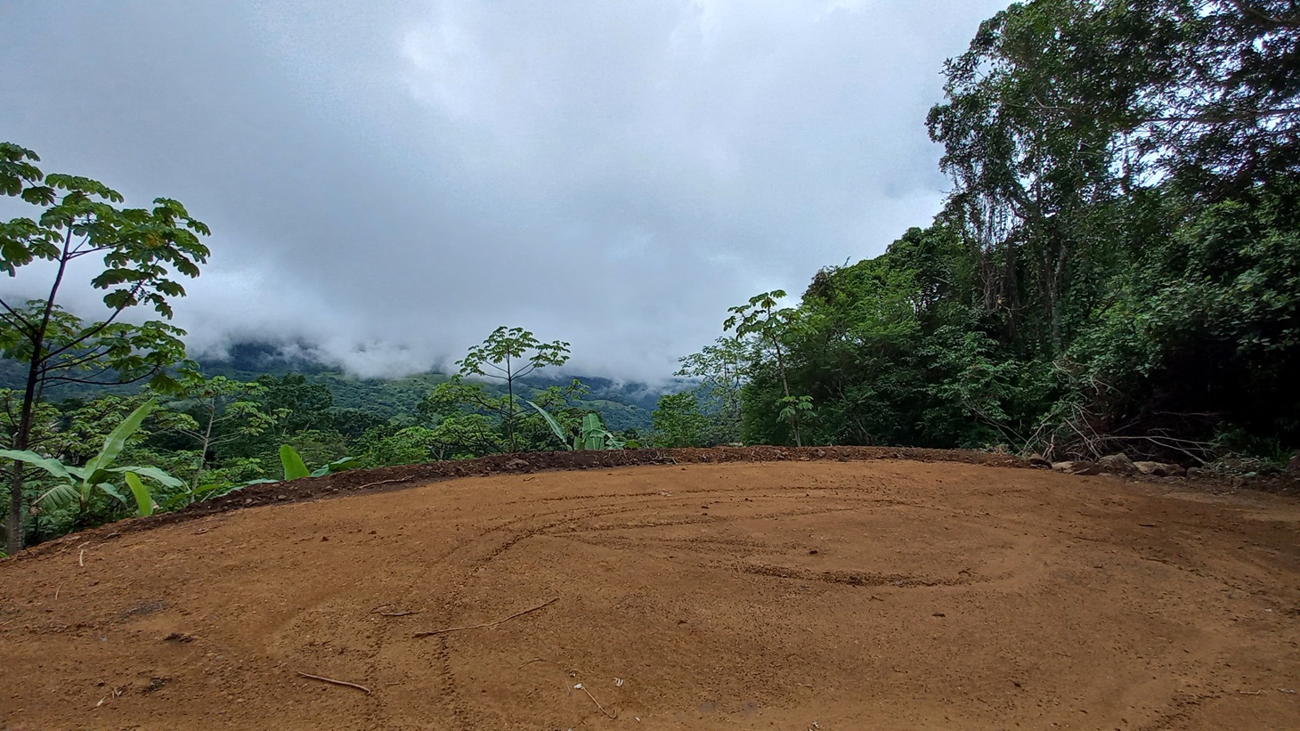 5522 – Mountain View Land with Several Building Sites and Mature Fruit Trees_13