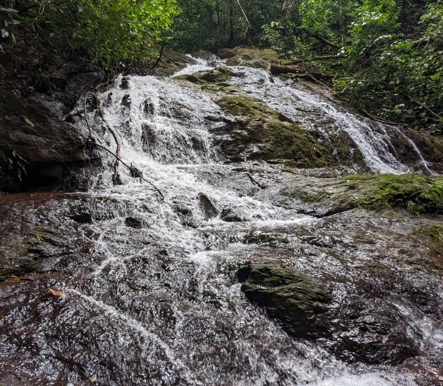 BUILDING PROPERTY WITH MOUNTAIN VIEWS AND NEAR OF CREEK, IN GUAPINOL PARRITA – 43.53 ACRES