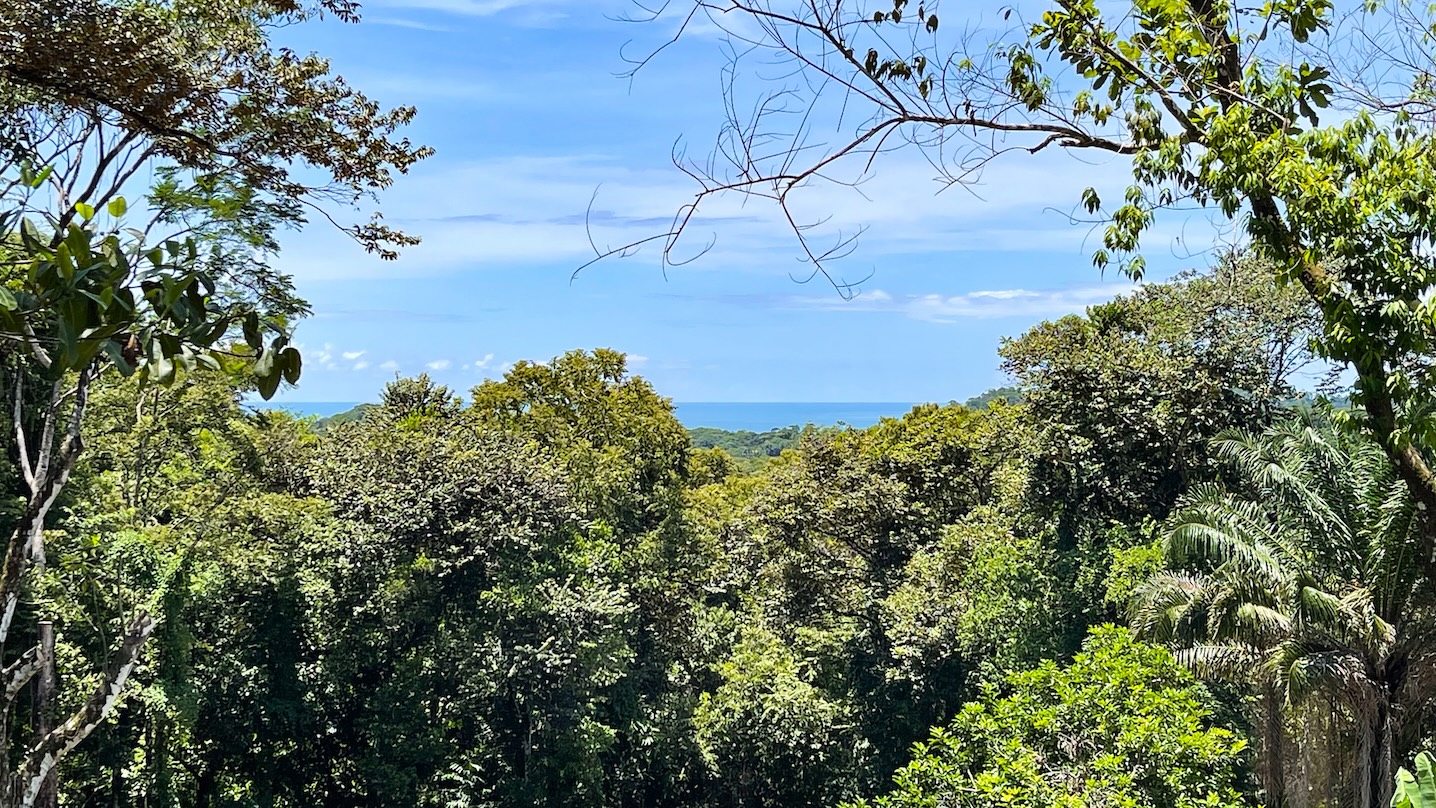 8131 House for sale in Ojochal 18