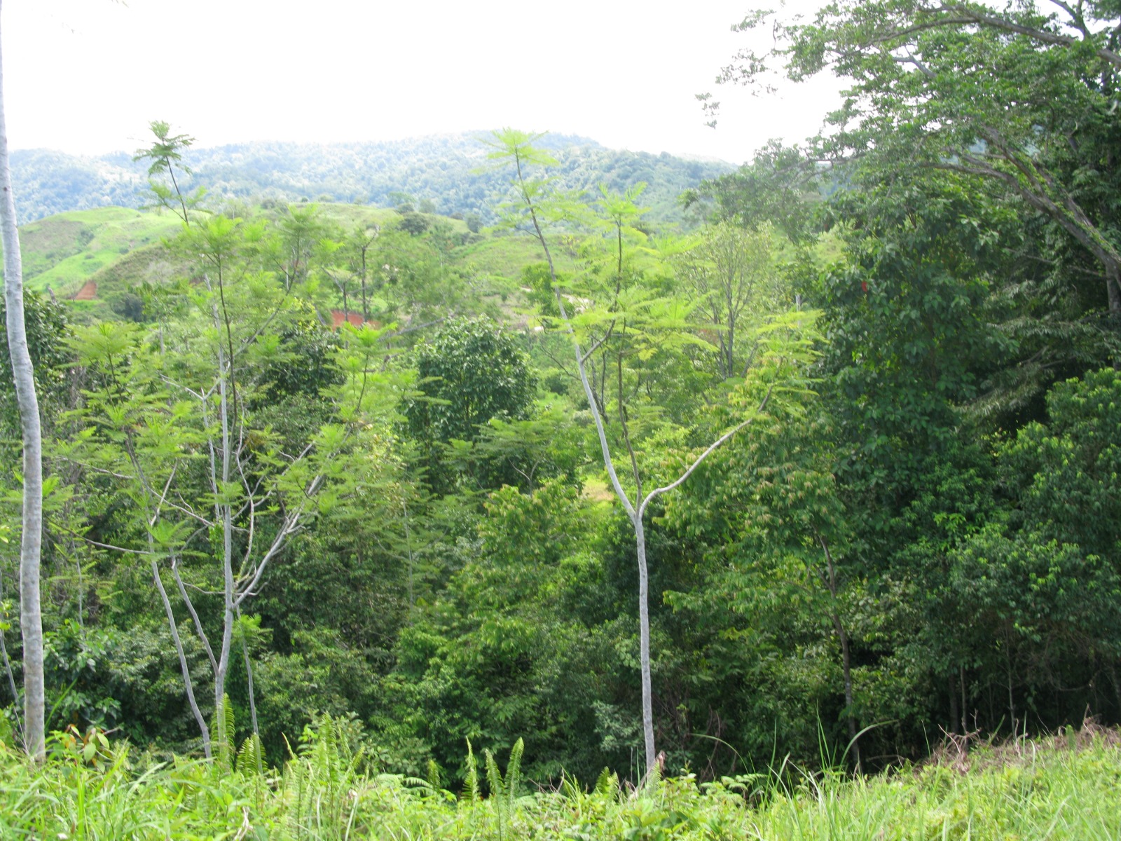 970bf8a2-c69b-494d-87cc-577c2dcfab21