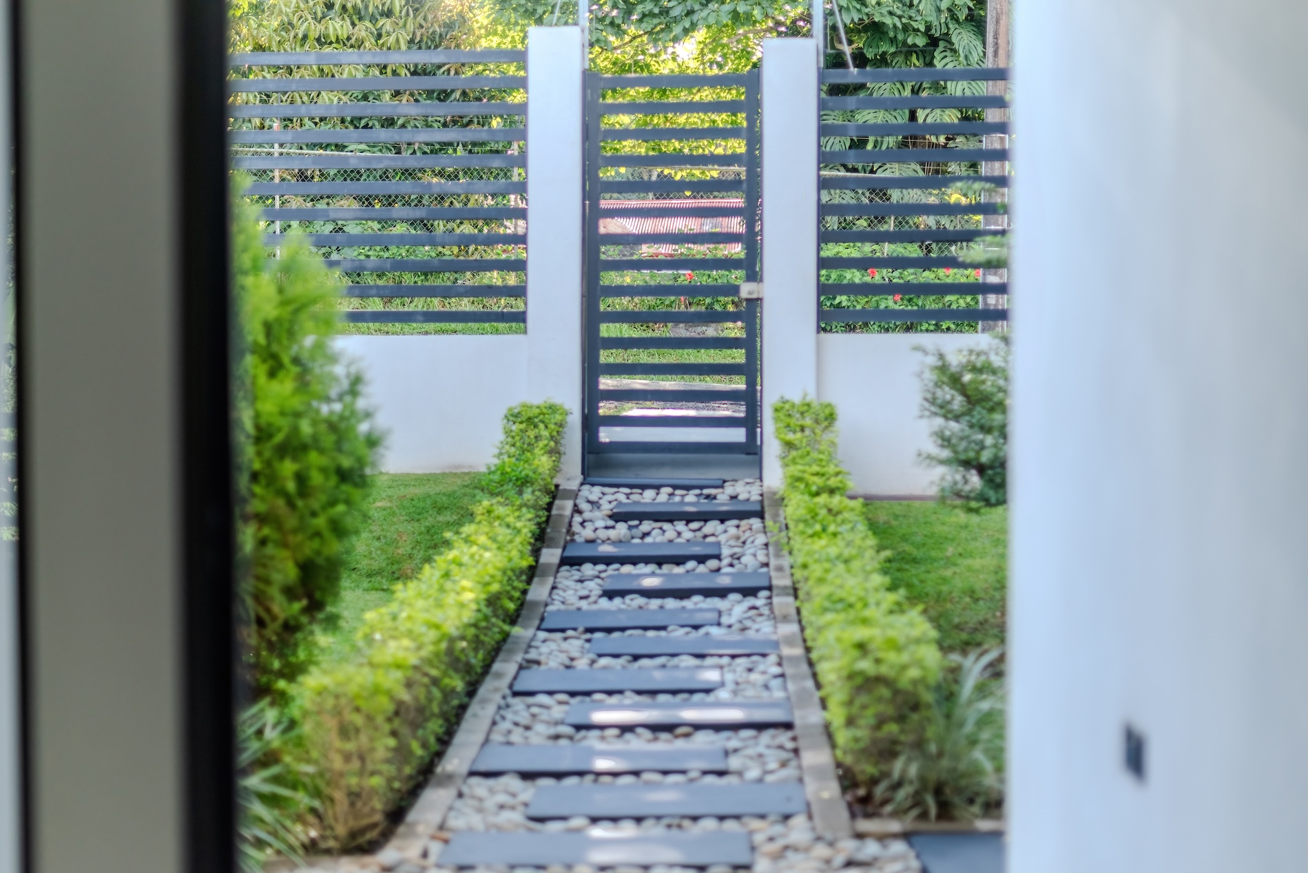 BZ-AU Pedregoso-02 (1)