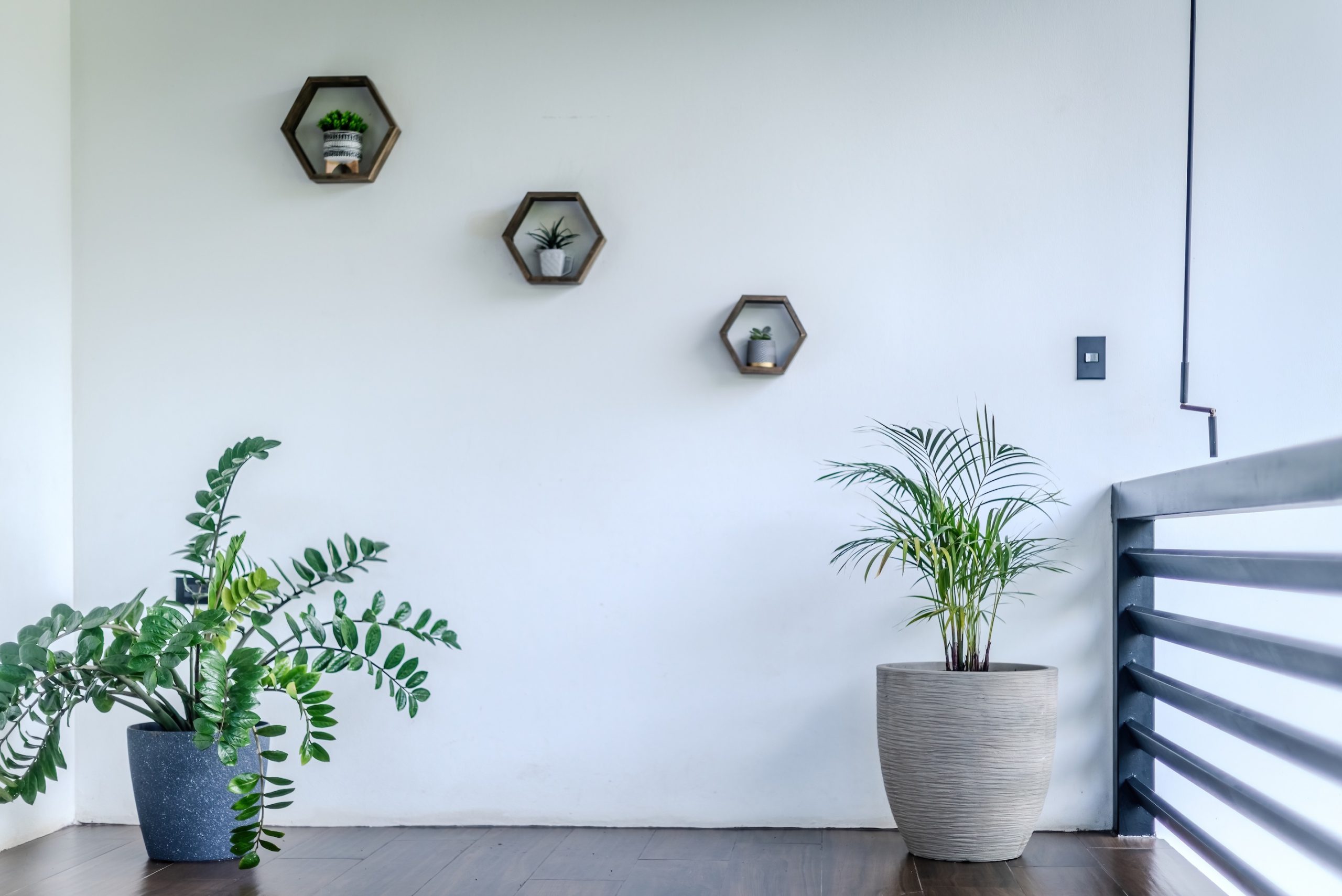 BZ-AU Pedregoso-04 (1)