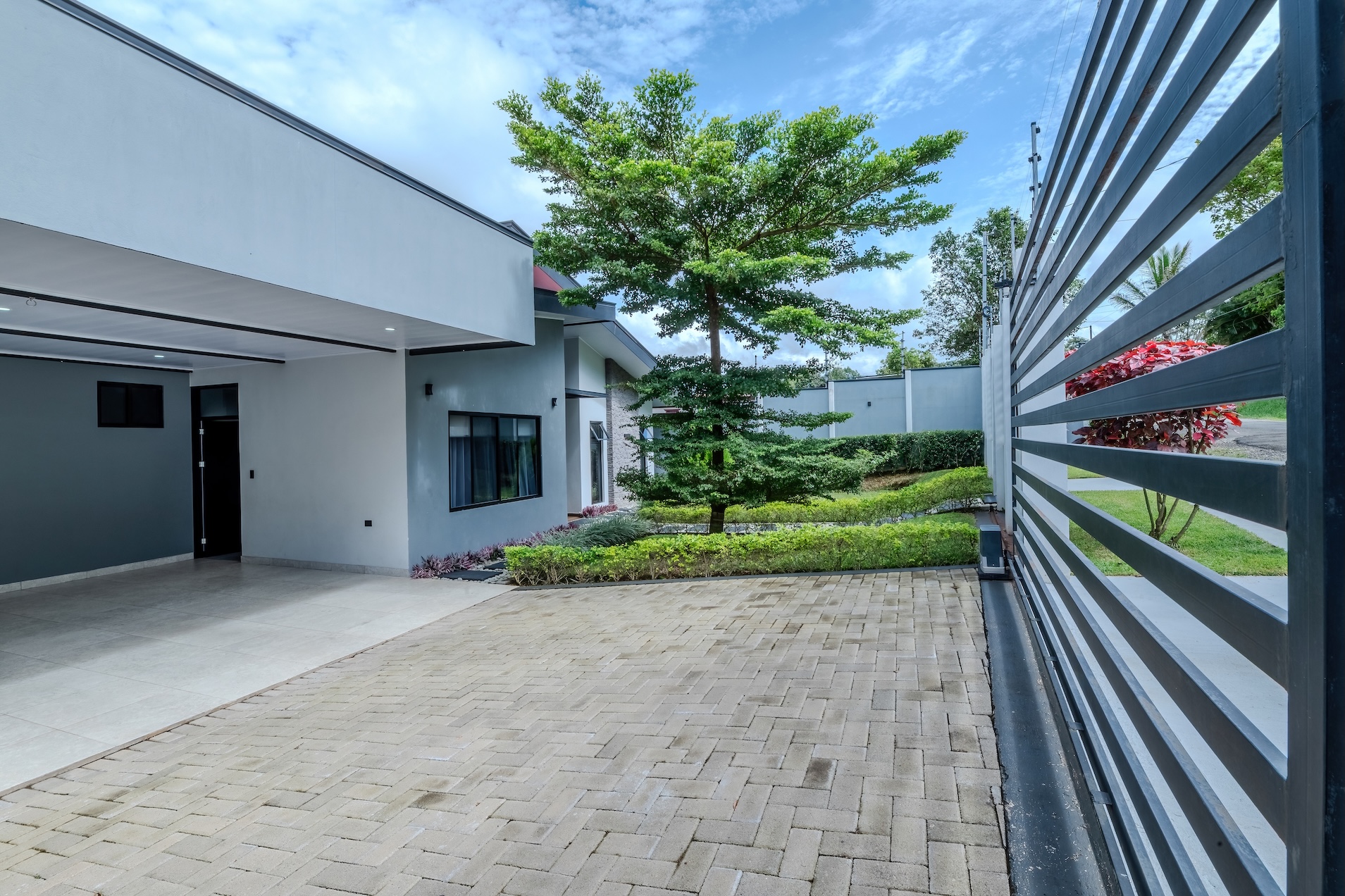 BZ-AU Pedregoso-08 (1)