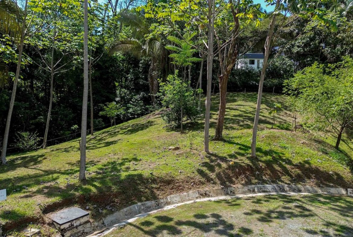BUILDING PROPERTY WITH OCEAN VIEWS,IN SAN JOSECITO – 17 ACRES