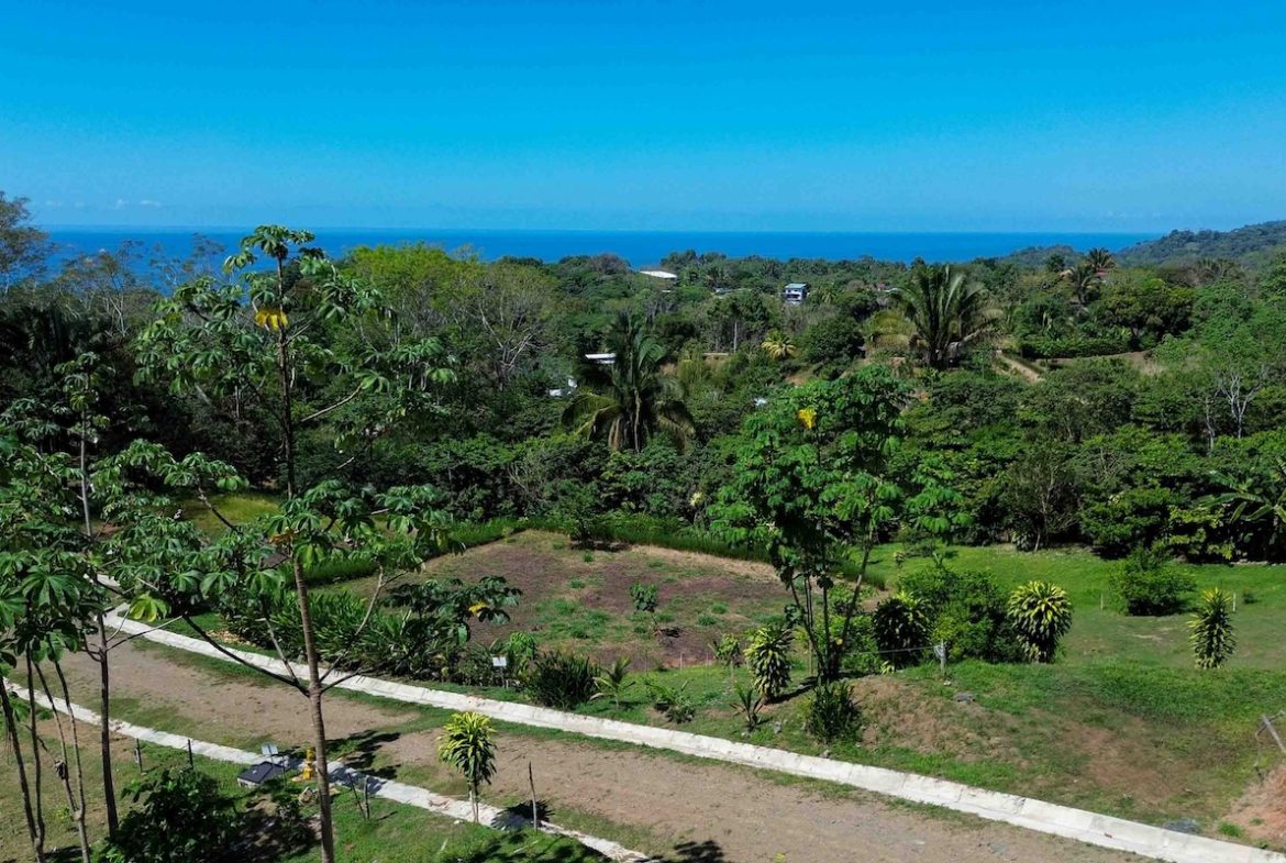 BUILDING PROPERTY WITH OCEAN VIEWS,IN SAN JOSECITO – 17 ACRES