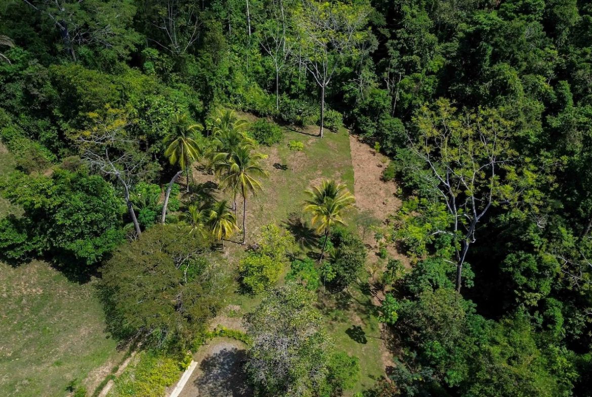 BUILDING PROPERTY WITH OCEAN VIEWS,IN SAN JOSECITO – 17 ACRES