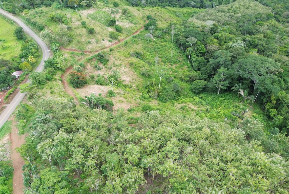 BUILDING PROPERTY WITH MOUNTAIN VIEWS AND NEAR OF CREEK, IN GUAPINOL PARRITA – 43.53 ACRES