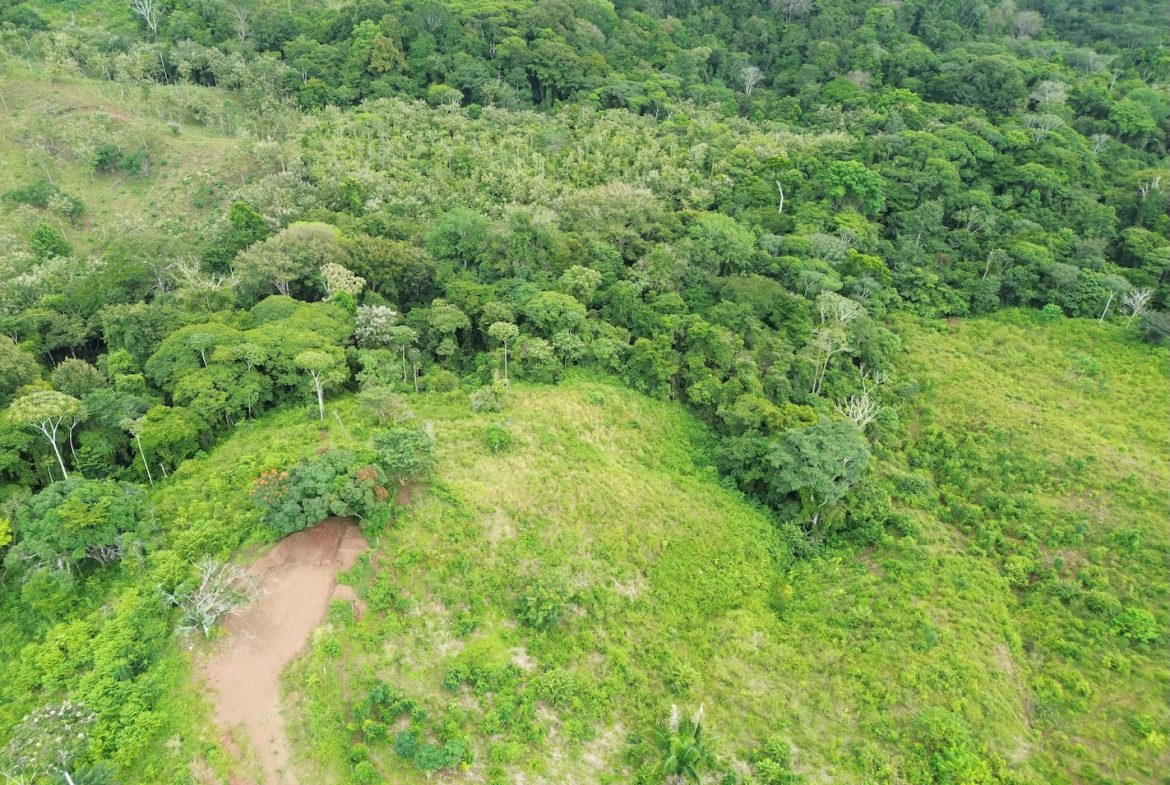 BUILDING PROPERTY WITH MOUNTAIN VIEWS AND NEAR OF CREEK, IN GUAPINOL PARRITA – 43.53 ACRES