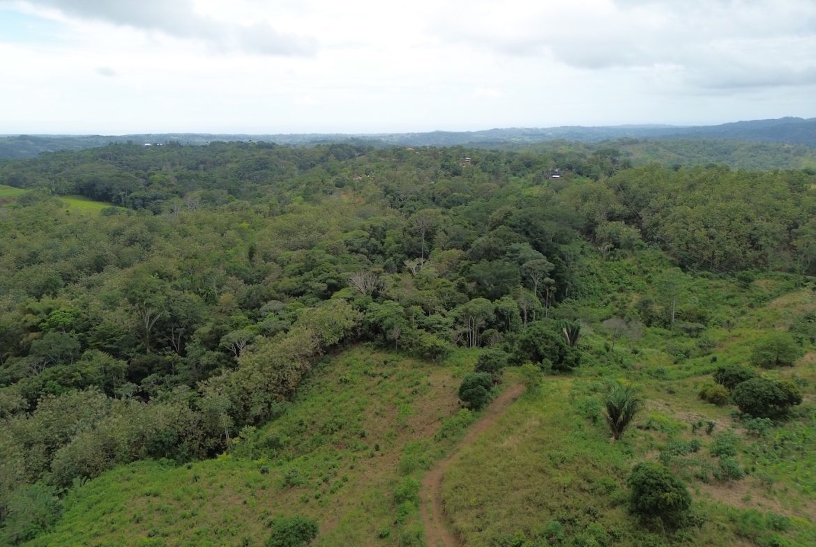 BUILDING PROPERTY WITH MOUNTAIN VIEWS AND NEAR OF CREEK, IN GUAPINOL PARRITA – 43.53 ACRES