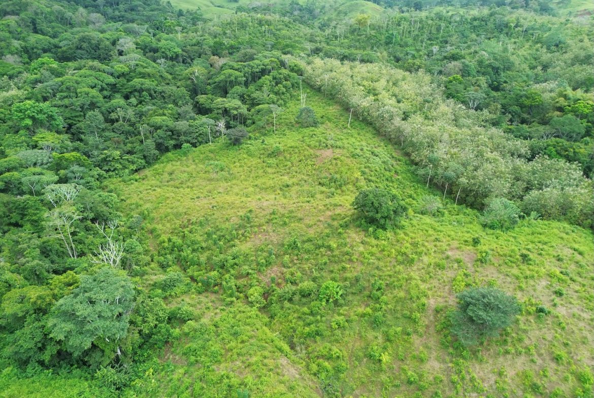 BUILDING PROPERTY WITH MOUNTAIN VIEWS AND NEAR OF CREEK, IN GUAPINOL PARRITA – 43.53 ACRES