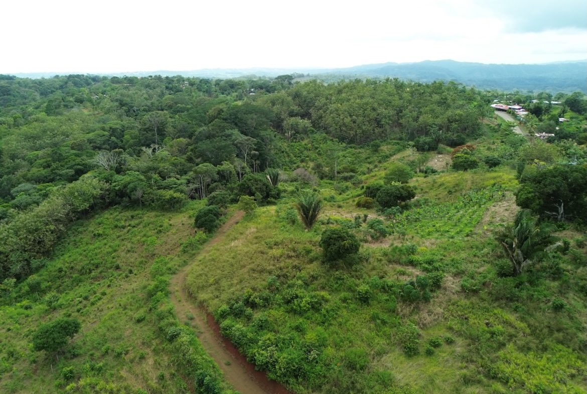 BUILDING PROPERTY WITH MOUNTAIN VIEWS AND NEAR OF CREEK, IN GUAPINOL PARRITA – 43.53 ACRES