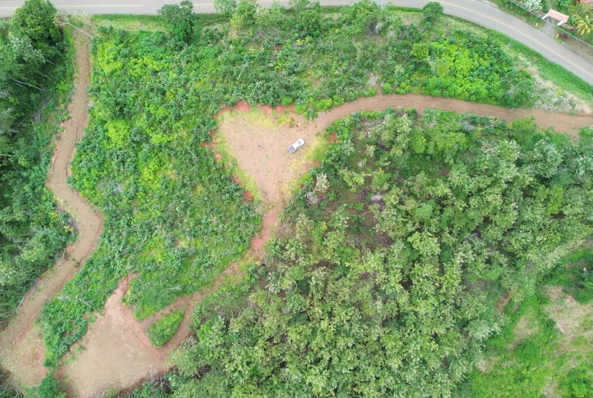 BUILDING PROPERTY WITH MOUNTAIN VIEWS AND NEAR OF CREEK, IN GUAPINOL PARRITA – 43.53 ACRES