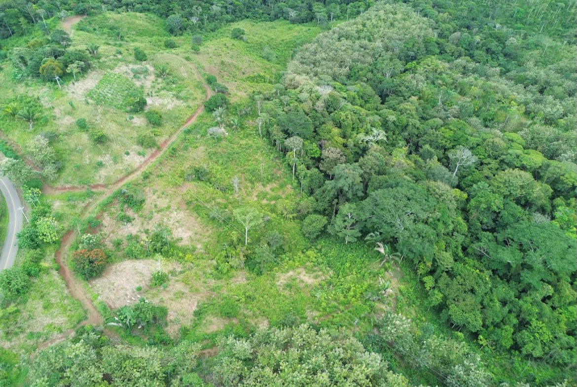 BUILDING PROPERTY WITH MOUNTAIN VIEWS AND NEAR OF CREEK, IN GUAPINOL PARRITA – 43.53 ACRES