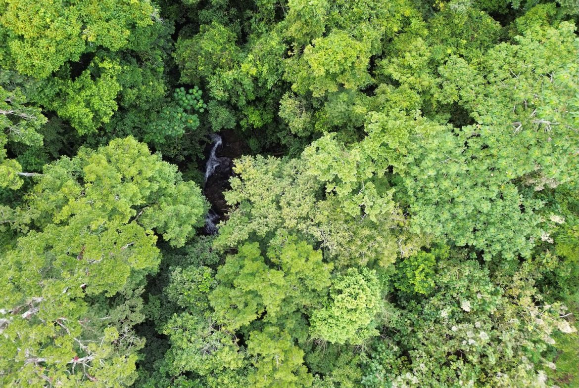 BUILDING PROPERTY WITH MOUNTAIN VIEWS AND NEAR OF CREEK, IN GUAPINOL PARRITA – 43.53 ACRES