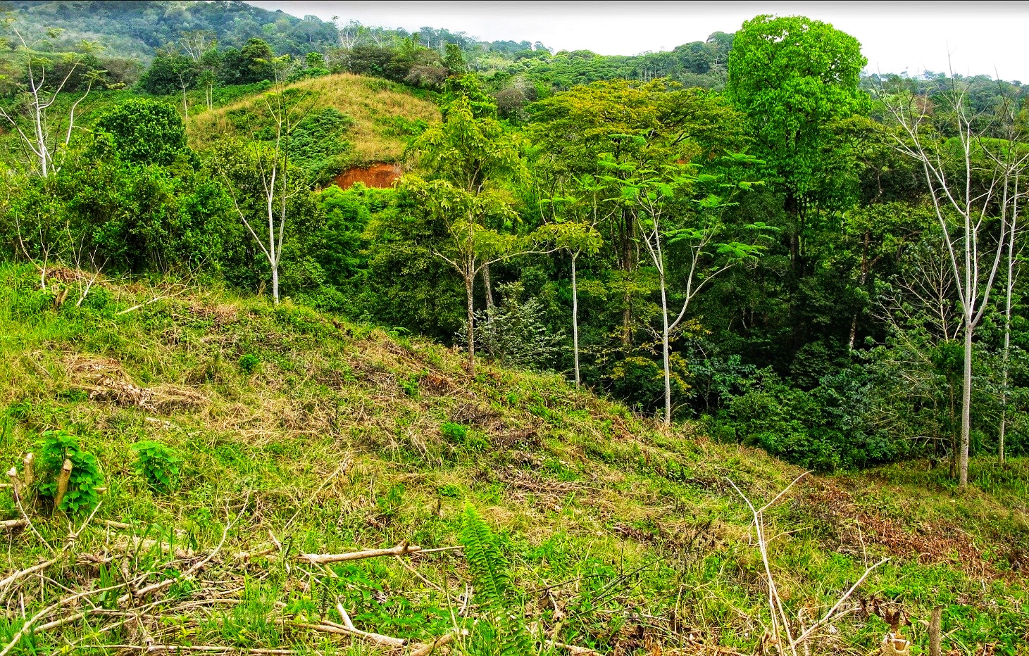 File 3-9-23, 7 52 31 PM