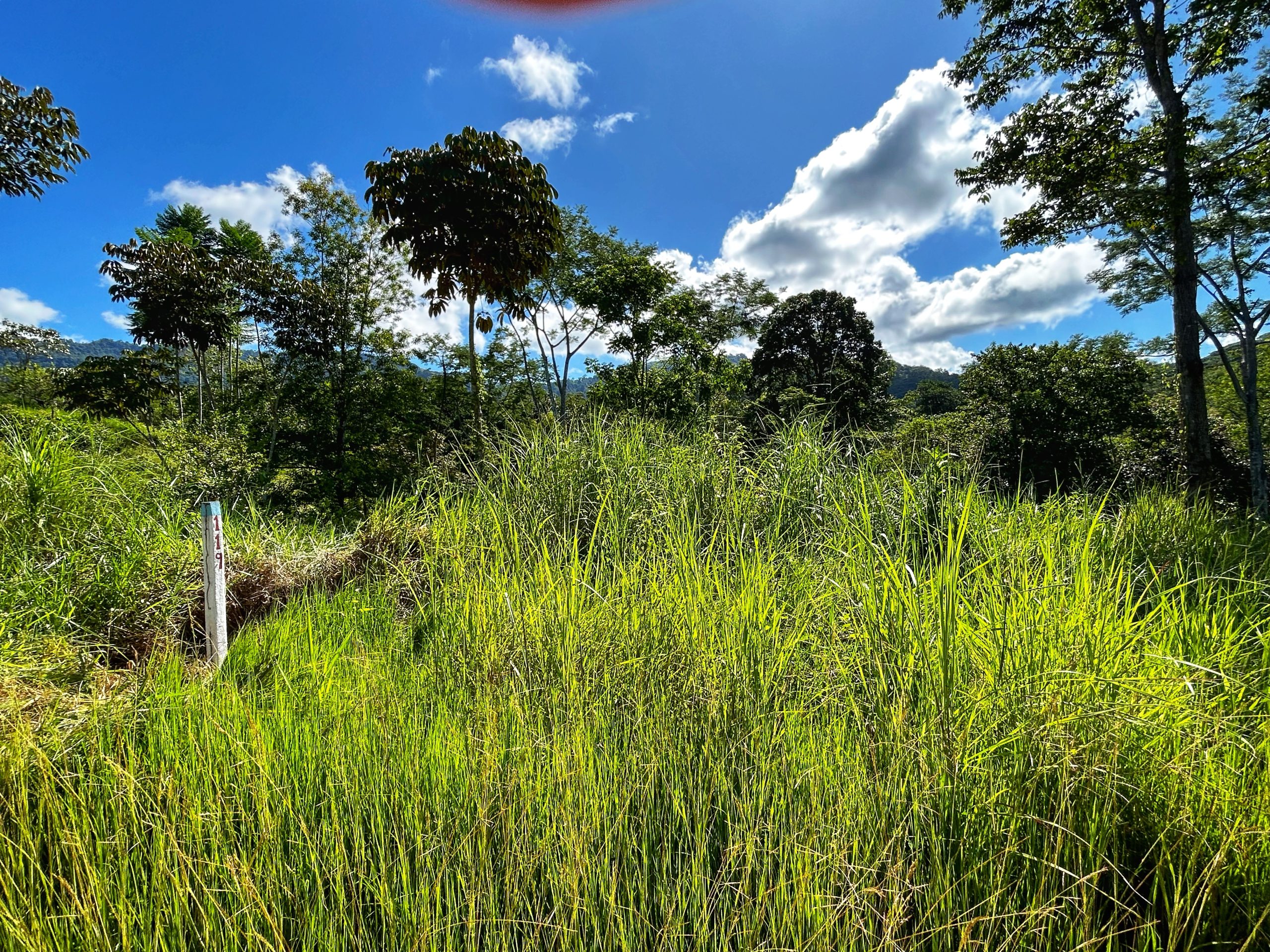 File 6-9-23, 8 23 38 PM