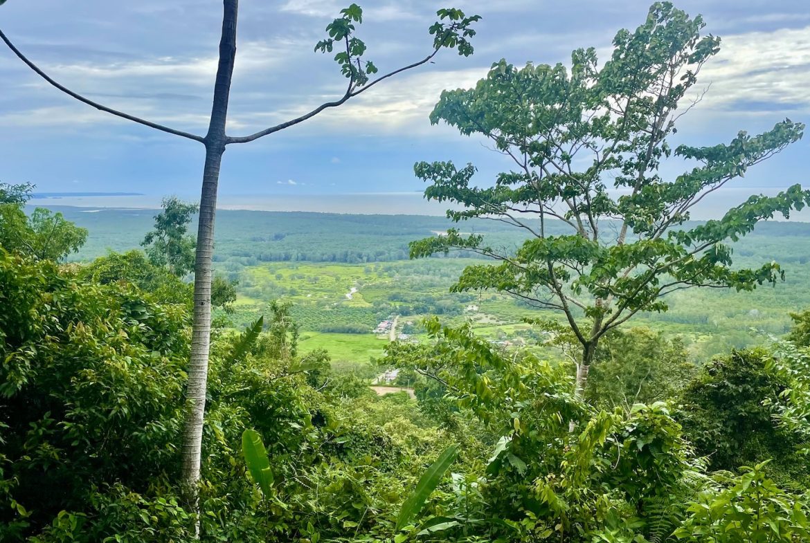 JUNGLE BUILDING PROPERTY WITH PANORAMIC VALLEY VIEW WITH CREEK IN TRES RIOS, – 61.7 ACRES, Uvita, Costa Rica — photo 2