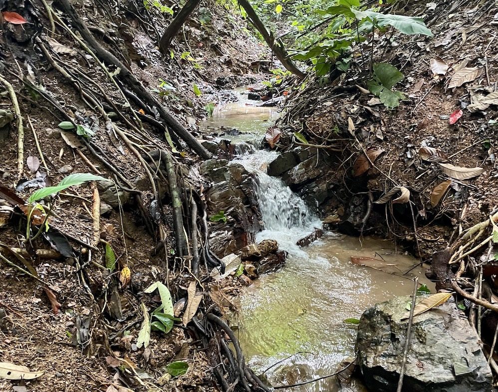 JUNGLE BUILDING PROPERTY WITH PANORAMIC VALLEY VIEW WITH CREEK IN TRES RIOS, – 61.7 ACRES, Uvita, Costa Rica — photo 5