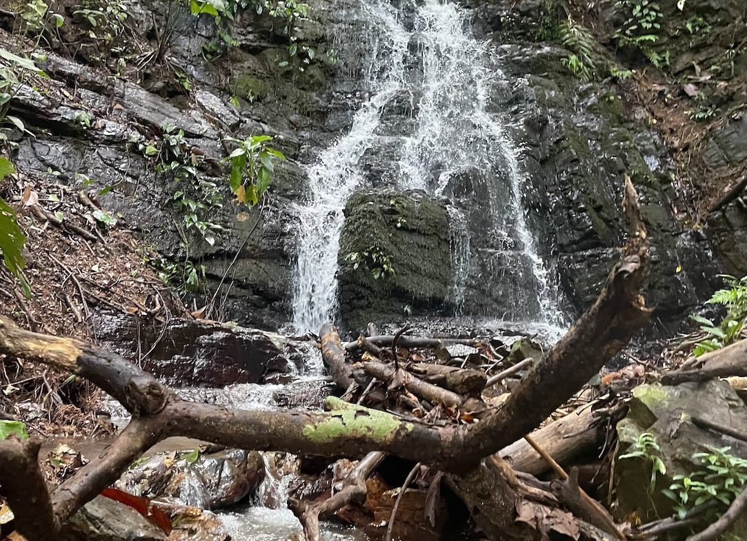 JUNGLE BUILDING PROPERTY WITH PANORAMIC VALLEY VIEW WITH CREEK IN TRES RIOS, – 61.7 ACRES, Uvita, Costa Rica — photo 6