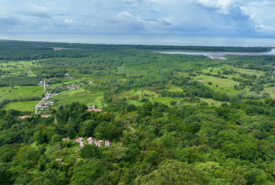 JUNGLE BUILDING PROPERTY WITH PANORAMIC VALLEY VIEW WITH CREEK IN TRES RIOS, – 61.7 ACRES, Uvita, Costa Rica — photo 7