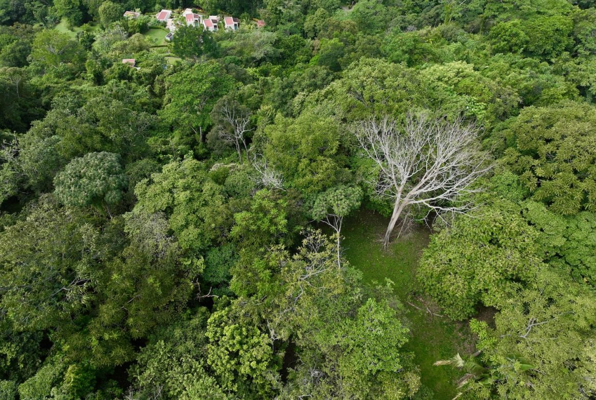 JUNGLE BUILDING PROPERTY WITH PANORAMIC VALLEY VIEW WITH CREEK IN TRES RIOS, – 61.7 ACRES, Uvita, Costa Rica — photo 8