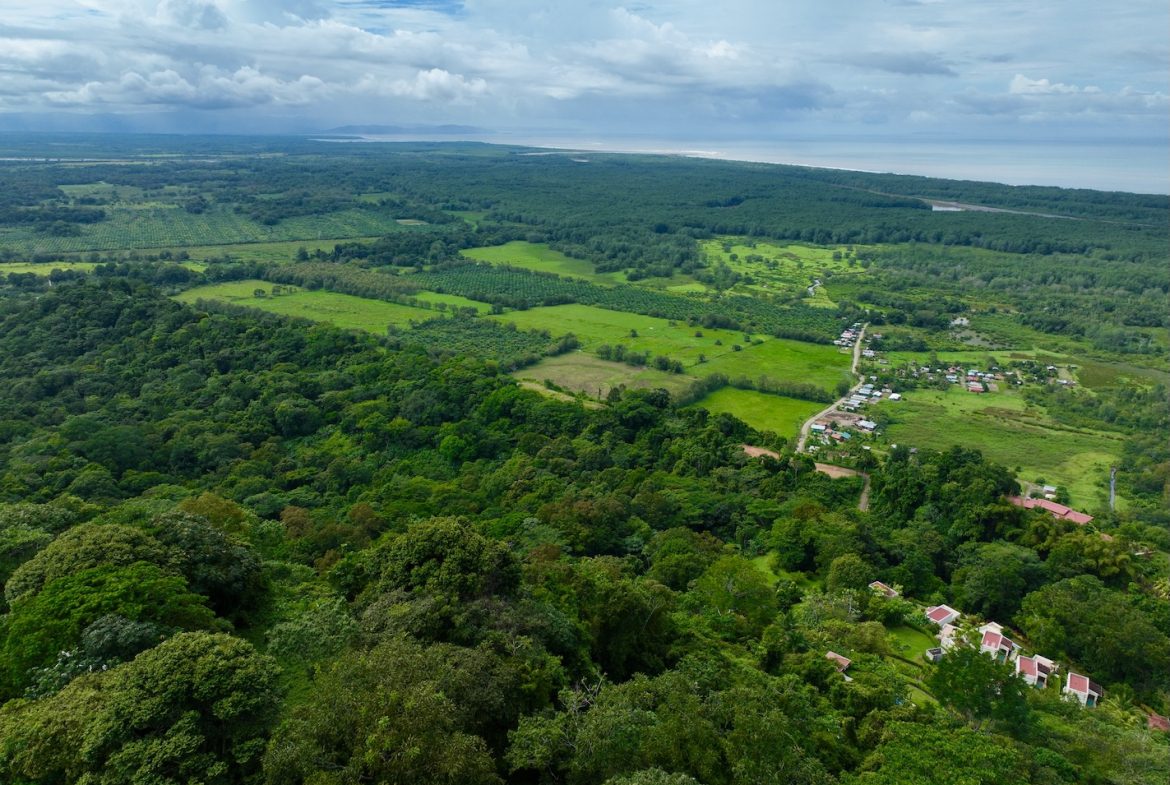 JUNGLE BUILDING PROPERTY WITH PANORAMIC VALLEY VIEW WITH CREEK IN TRES RIOS, – 61.7 ACRES