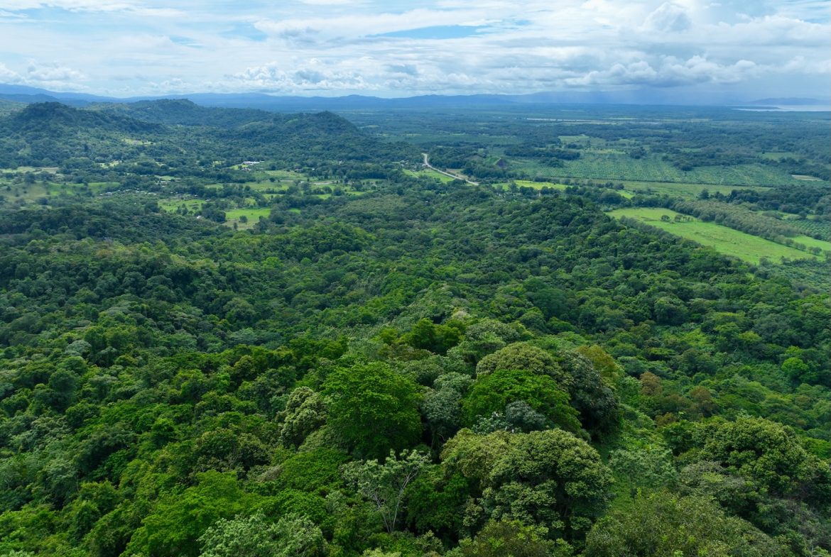 JUNGLE BUILDING PROPERTY WITH PANORAMIC VALLEY VIEW WITH CREEK IN TRES RIOS, – 61.7 ACRES