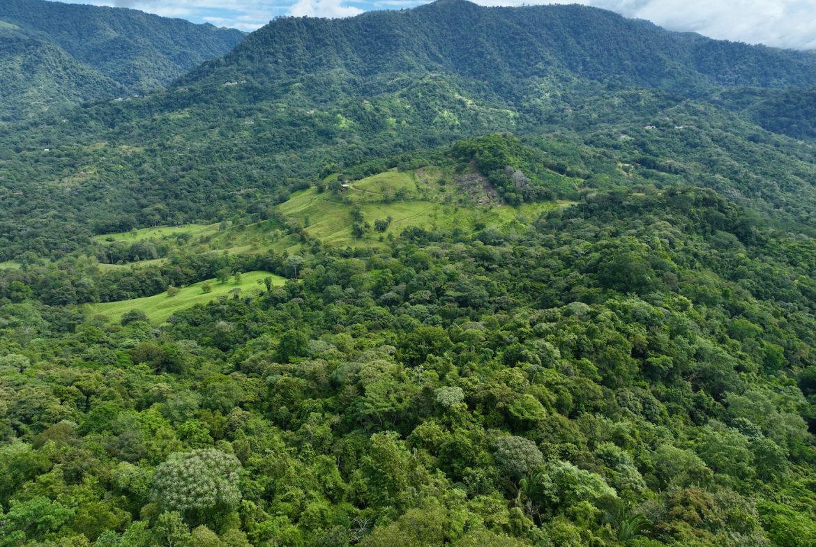 JUNGLE BUILDING PROPERTY WITH PANORAMIC VALLEY VIEW WITH CREEK IN TRES RIOS, – 61.7 ACRES