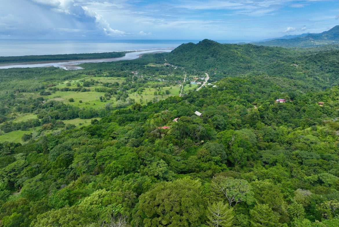 JUNGLE BUILDING PROPERTY WITH PANORAMIC VALLEY VIEW WITH CREEK IN TRES RIOS, – 61.7 ACRES