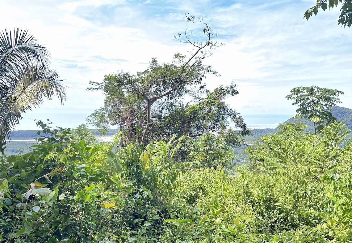 JUNGLE BUILDING PROPERTY WITH PANORAMIC VALLEY VIEW WITH CREEK IN TRES RIOS, – 61.7 ACRES