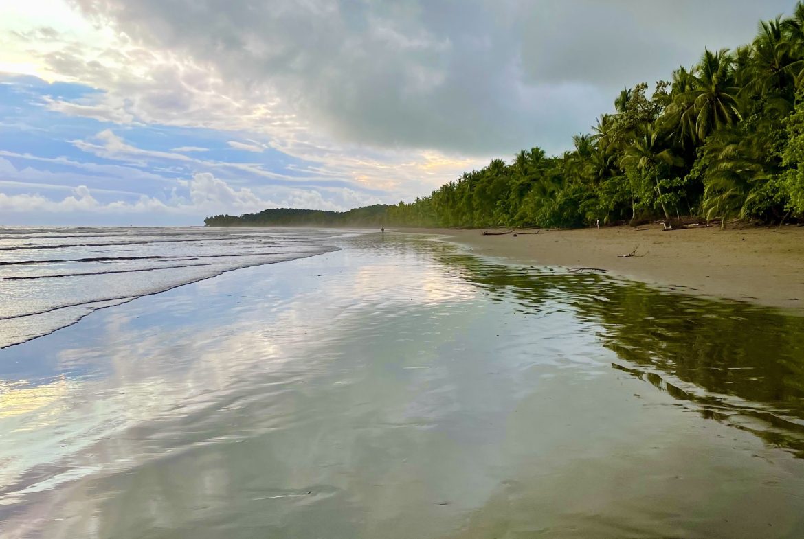 JUNGLE BUILDING PROPERTY WITH PANORAMIC VALLEY VIEW WITH CREEK IN TRES RIOS, – 61.7 ACRES