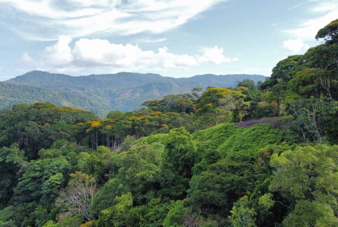 BUILDING PROPERTY WITH  MOUNTAINS VIEWS AND EXTRA LOTS WITH OCEAN VIEW NEXT TO THE PROPERTY – 2.1 ACRES