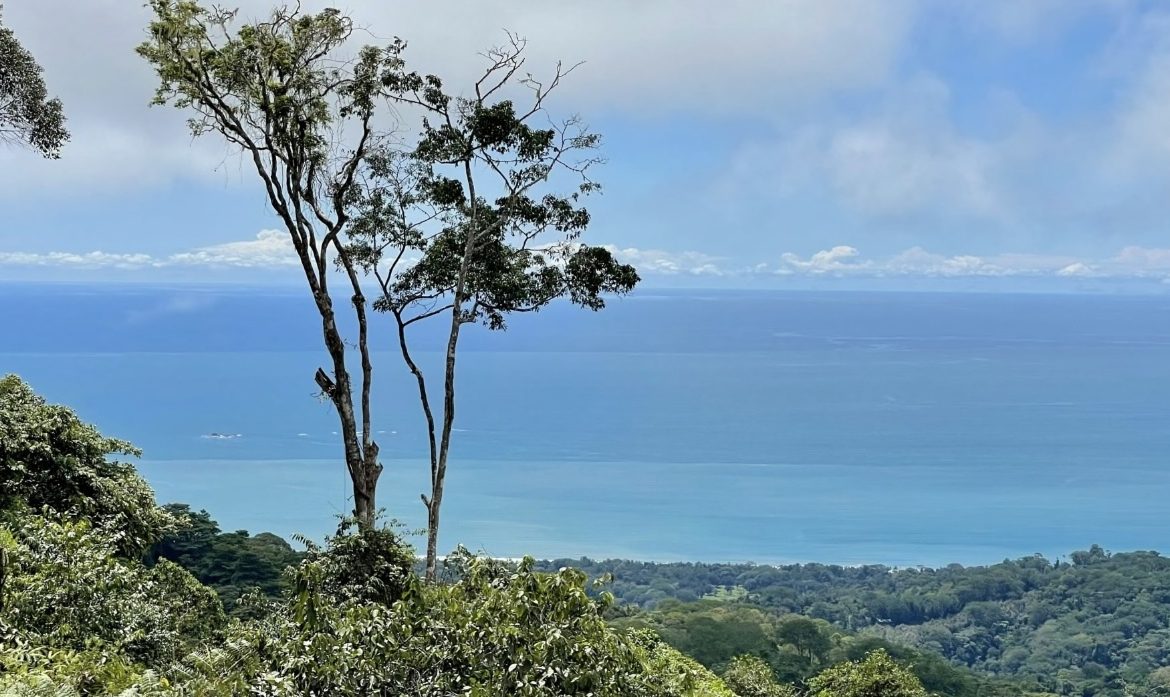 BUILDING PROPERTY WITH  MOUNTAINS VIEWS AND EXTRA LOTS WITH OCEAN VIEW NEXT TO THE PROPERTY – 2.1 ACRES