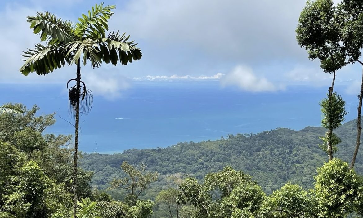 BUILDING PROPERTY WITH  MOUNTAINS VIEWS AND EXTRA LOTS WITH OCEAN VIEW NEXT TO THE PROPERTY – 2.1 ACRES