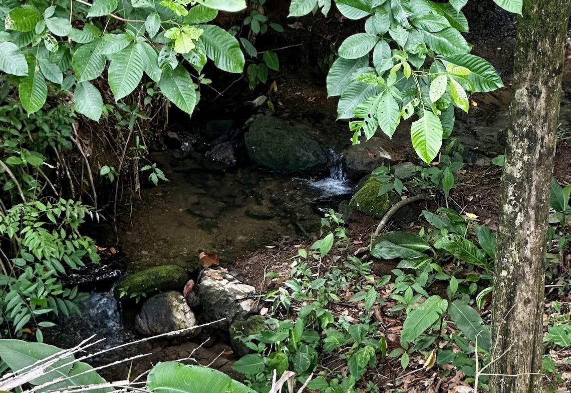 PROPERTY UNDER CONSTRUCTION WITH PROPERTY LAND VIEWS, IN PLAYA HERMOSA – 0.24 ACRES, Uvita, Costa Rica — photo 6