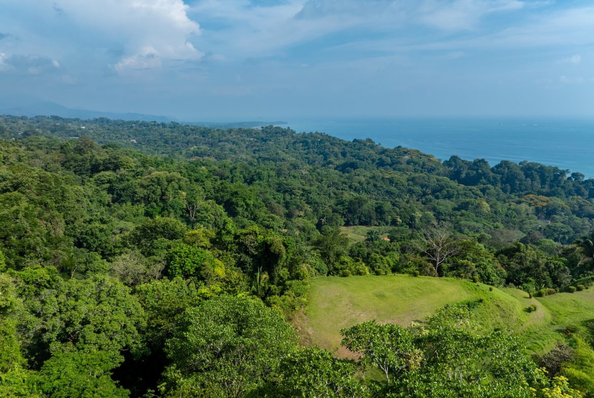 Las Colinas Lot 7 – BEST AVAILABLE BUILDING SITE IN THE SOUTHERN ZONE, Uvita, Costa Rica — photo 4
