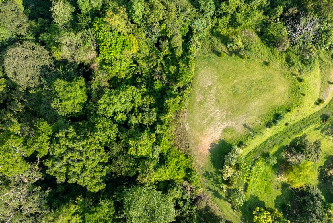 Las Colinas Lot 7 – BEST AVAILABLE BUILDING SITE IN THE SOUTHERN ZONE, Uvita, Costa Rica — photo 8