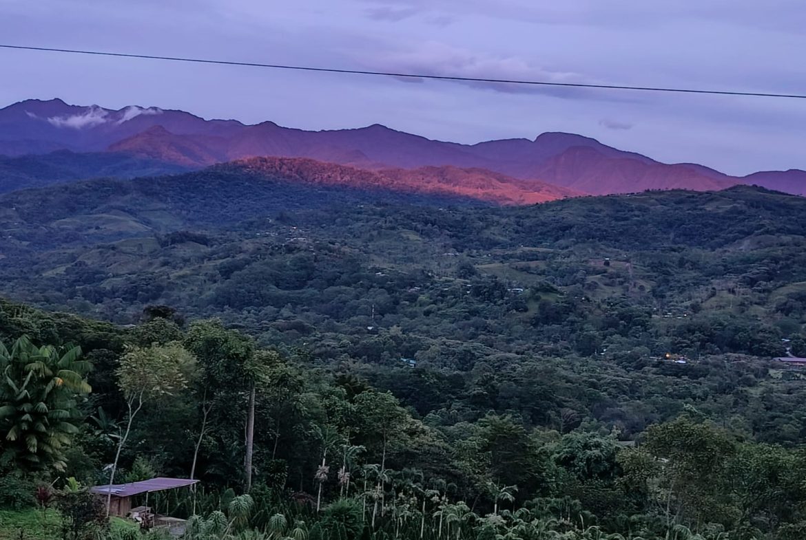 5-BEDROOM CHIRRIPO MOUNTAIN VIEW HOME WITH EASY ACCESS, PREMIUM FINISHES, FRUIT TREES AND LANSCAPED – 0.22 ACRES