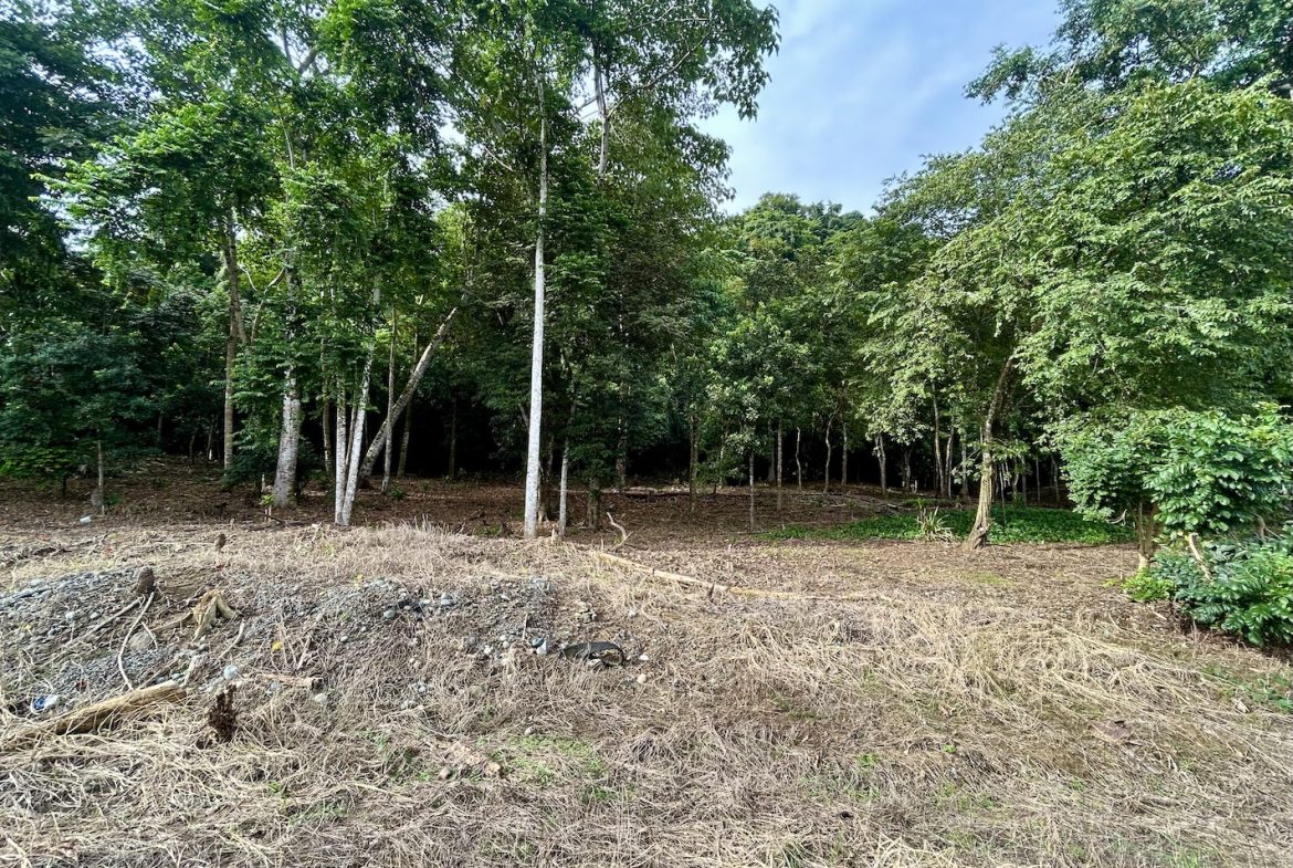 BUILDING PROPERTY WITH FRONT PUBLIC ROAD VIEWS, IN CHONTALES – 0.29 ACRES