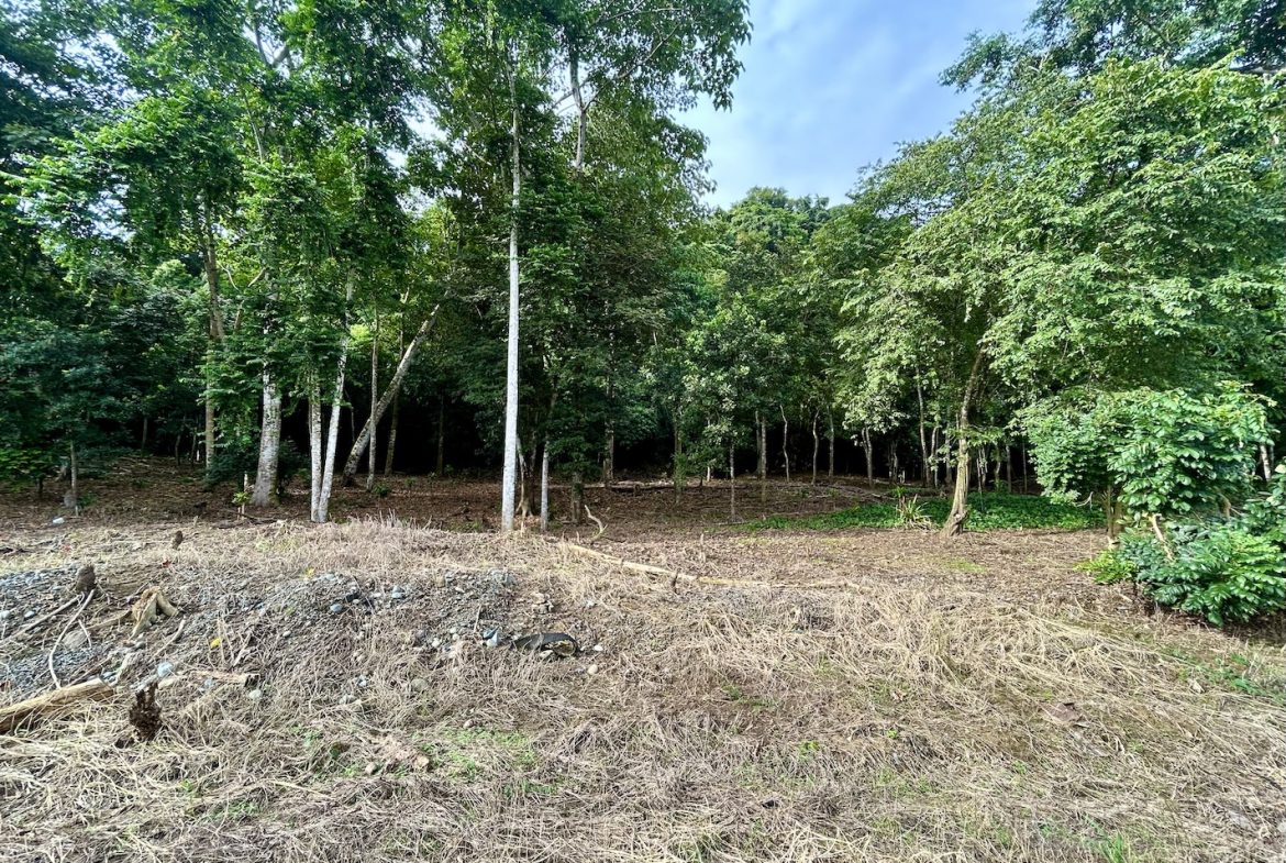 BUILDING PROPERTY WITH FRONT PUBLIC ROAD VIEWS, IN CHONTALES – 0.29 ACRES