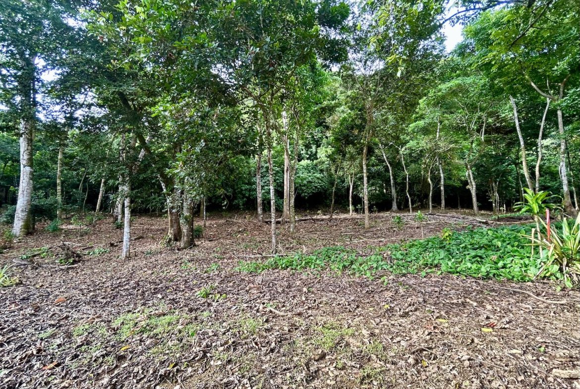 BUILDING PROPERTY WITH FRONT PUBLIC ROAD VIEWS, IN CHONTALES – 0.29 ACRES