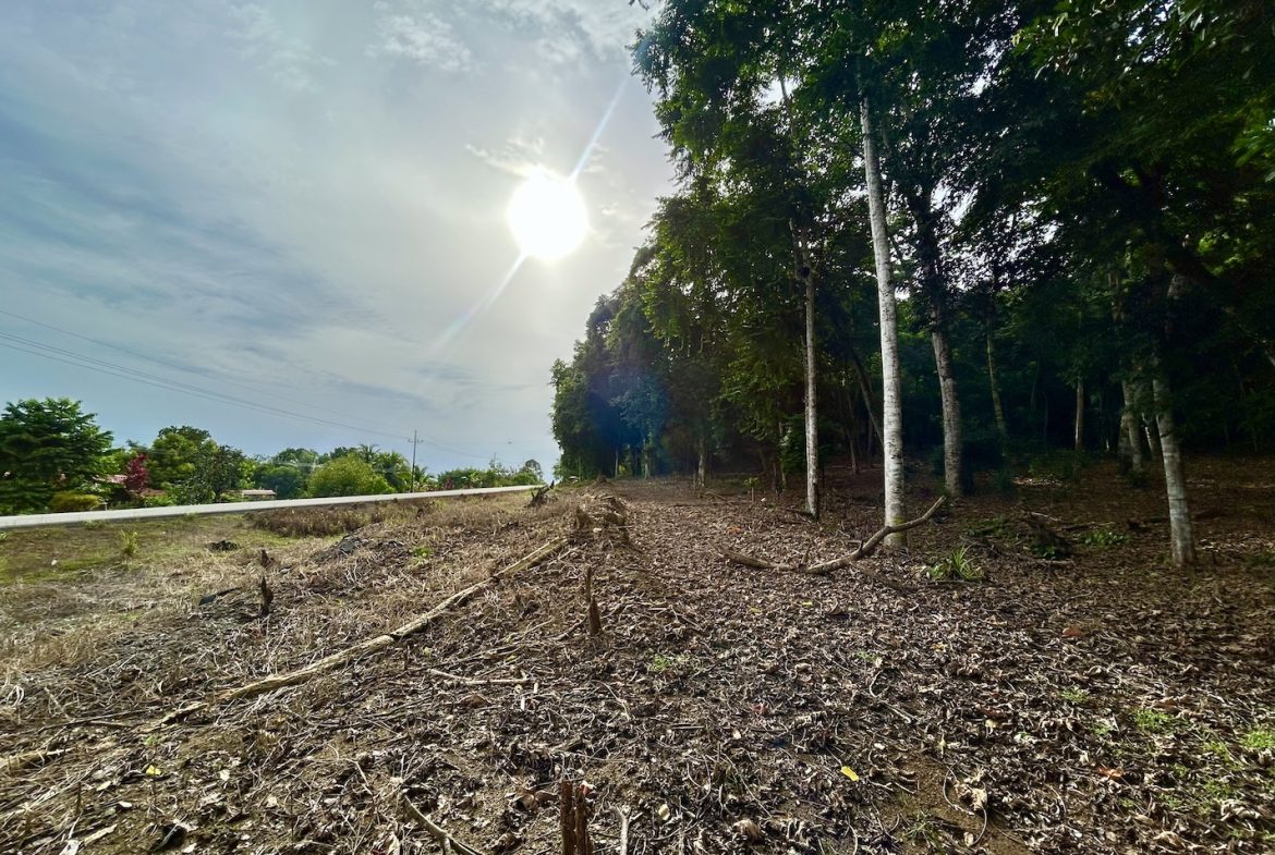 BUILDING PROPERTY WITH FRONT PUBLIC ROAD VIEWS, IN CHONTALES – 0.29 ACRES