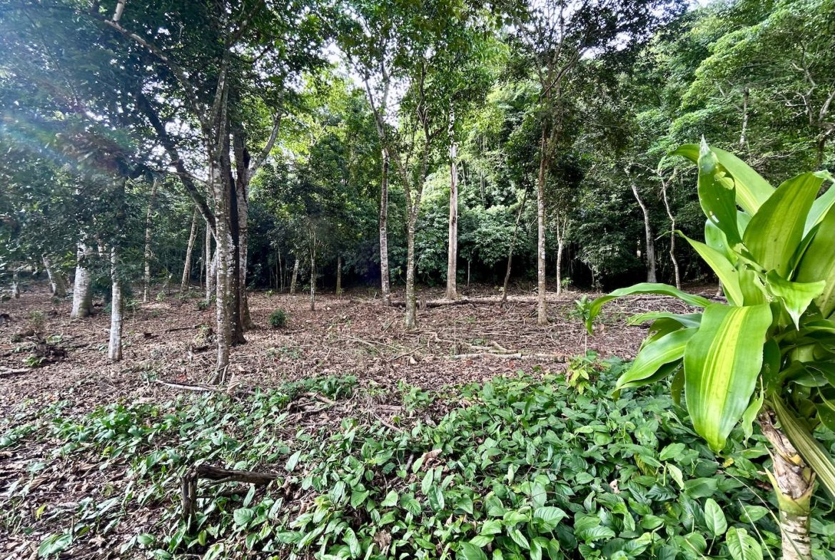 BUILDING PROPERTY WITH FRONT PUBLIC ROAD VIEWS, IN CHONTALES – 0.29 ACRES