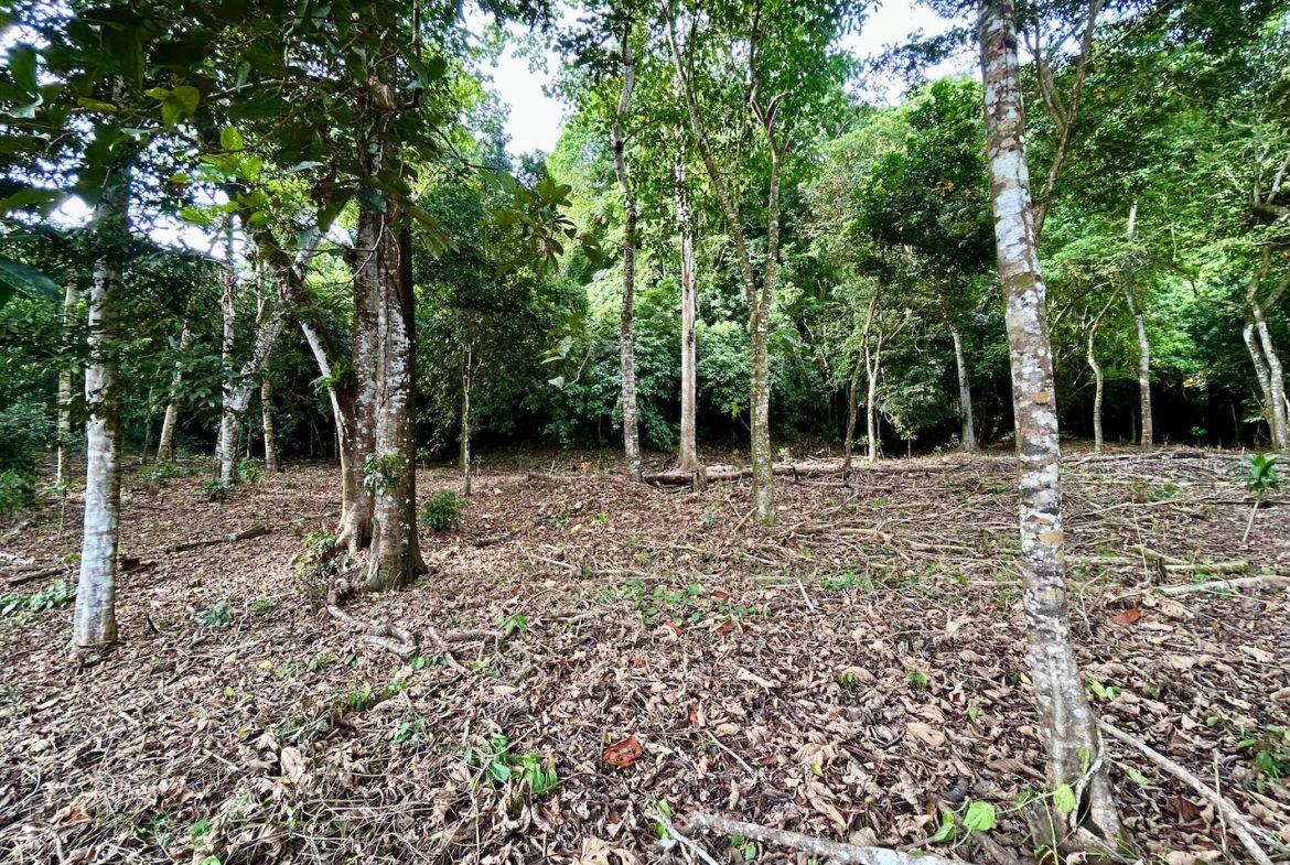 BUILDING PROPERTY WITH FRONT PUBLIC ROAD VIEWS, IN CHONTALES – 0.29 ACRES